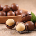 OEM original yunnan buena calidad sobre la tuerca de macadamia